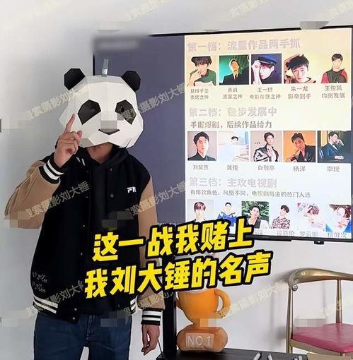 狗仔爆料刘大锤视频,狗仔爆料背后的真相揭秘